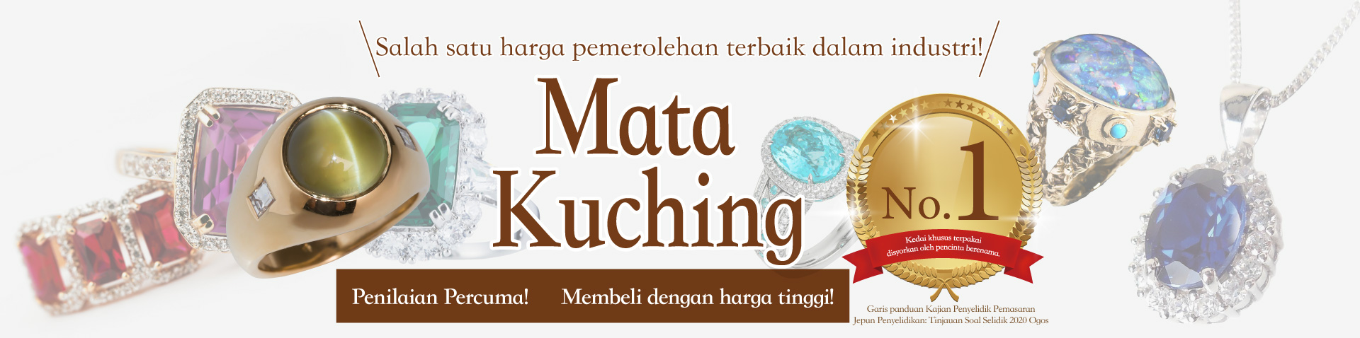 mata kucing
